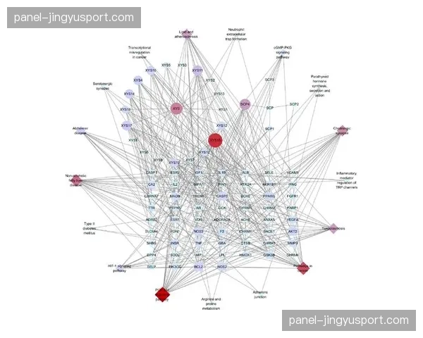 技术述评：赛后即时生成的全队跑动热图与传球网络图，如何改变传统战术分析
